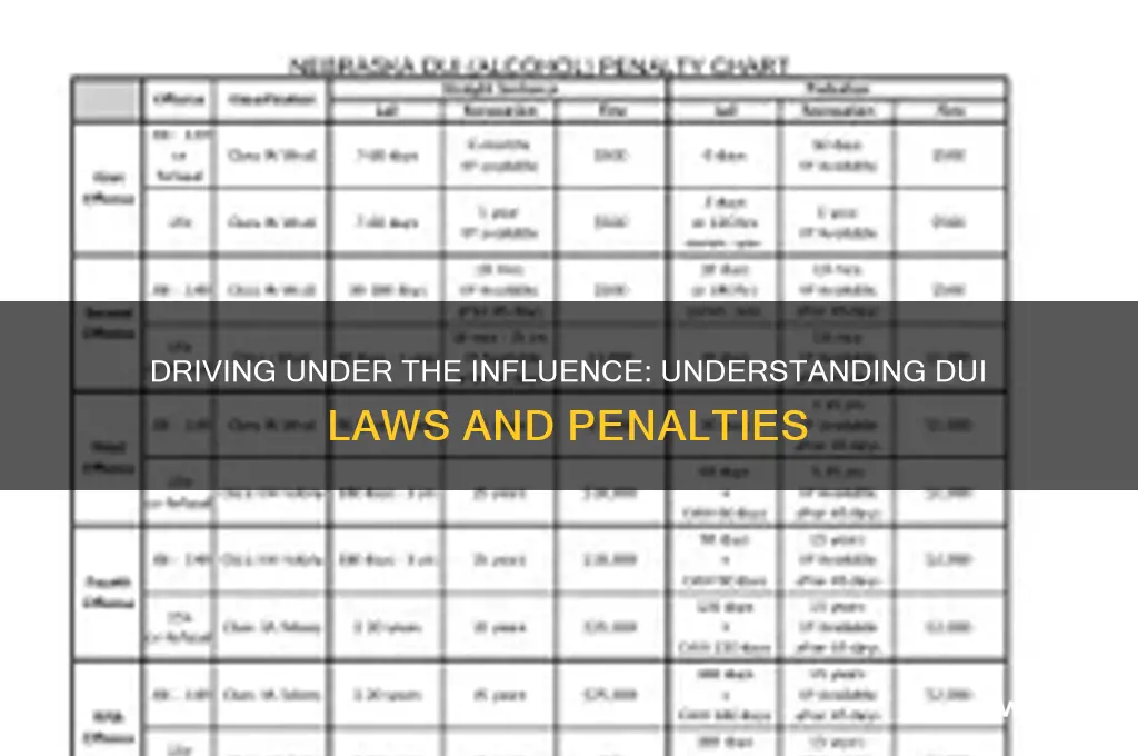 what is the law on driving under the influence alcoho