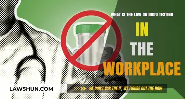 Workplace Drug Testing Laws: Rights, Regulations, and Employer Responsibilities