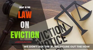 Understanding Eviction Laws: A Comprehensive Guide for Tenants and Landlords