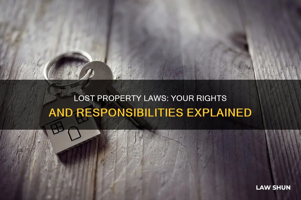what is the law on finding lost property