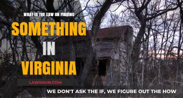 Virginia's Lost Property Laws: What to Do If You Find Something