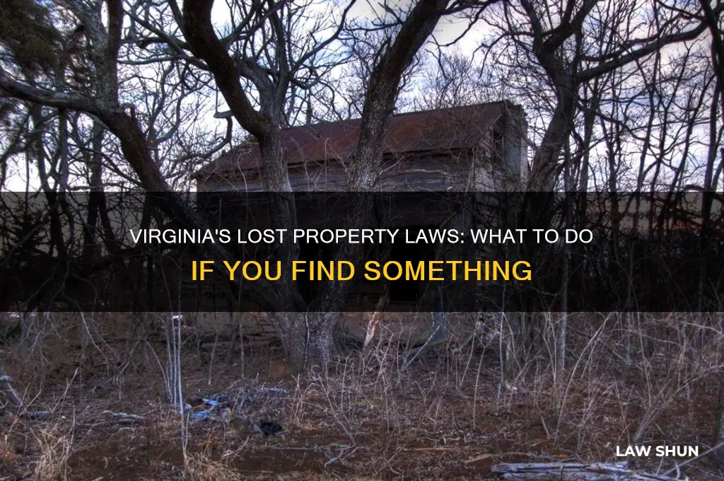 what is the law on finding something in virginia