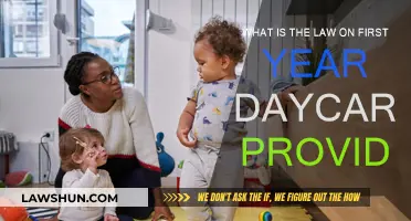 Daycare Providers: Understanding Legal Requirements in the First Year