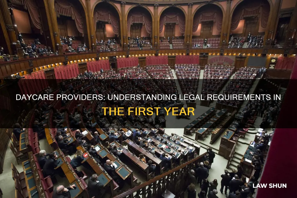 what is the law on first year daycare providers