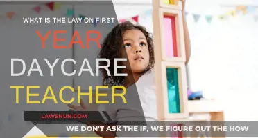 Daycare Teachers: Understanding Legal Responsibilities and Requirements