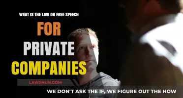 Free Speech Limits: Private Companies' Rights and Legal Boundaries Explained