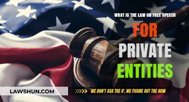 Free Speech Limits: Private Entities' Rights and Legal Boundaries Explained