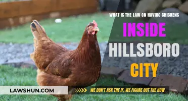 Hillsboro's Chicken Laws: Keeping Poultry Within City Limits Explained