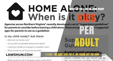 Understanding Legal Child-to-Adult Ratios: Guidelines for Supervision and Safety