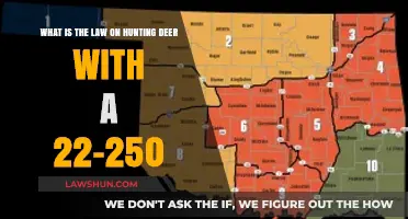 Hunting Deer with a 22-250: Legal Guidelines and Regulations Explained