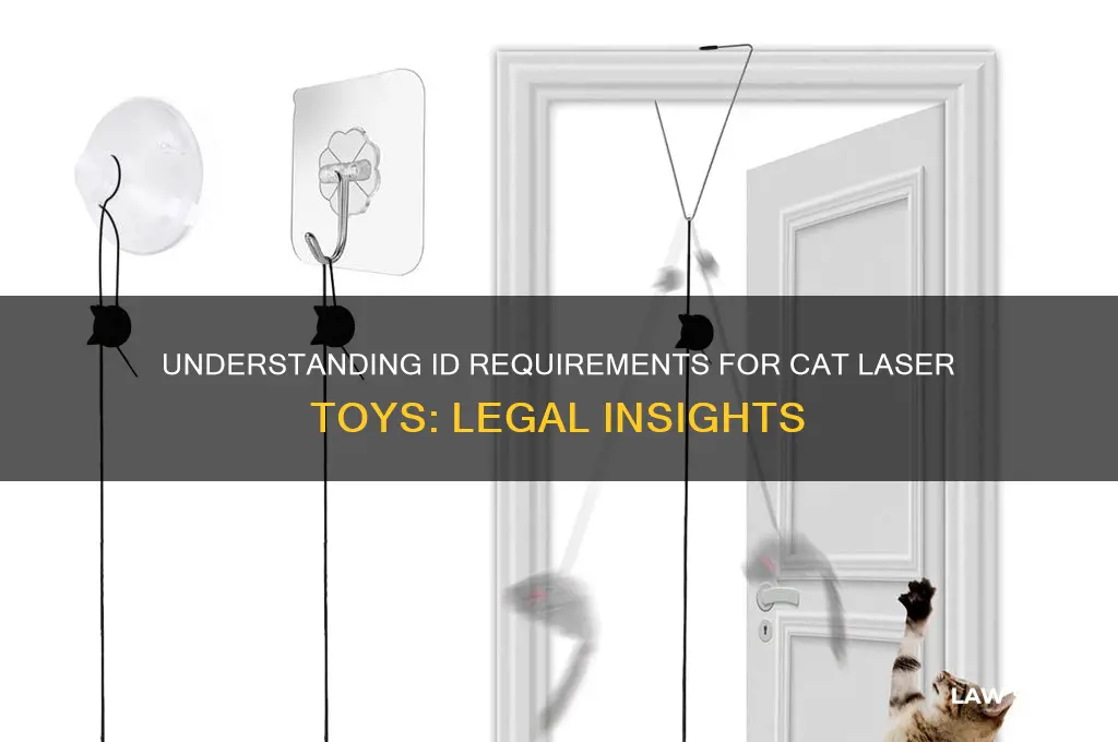 what is the law on id for cat laser toy