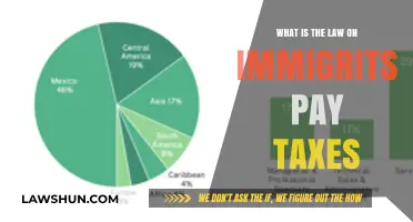 Understanding Tax Laws for Immigrants