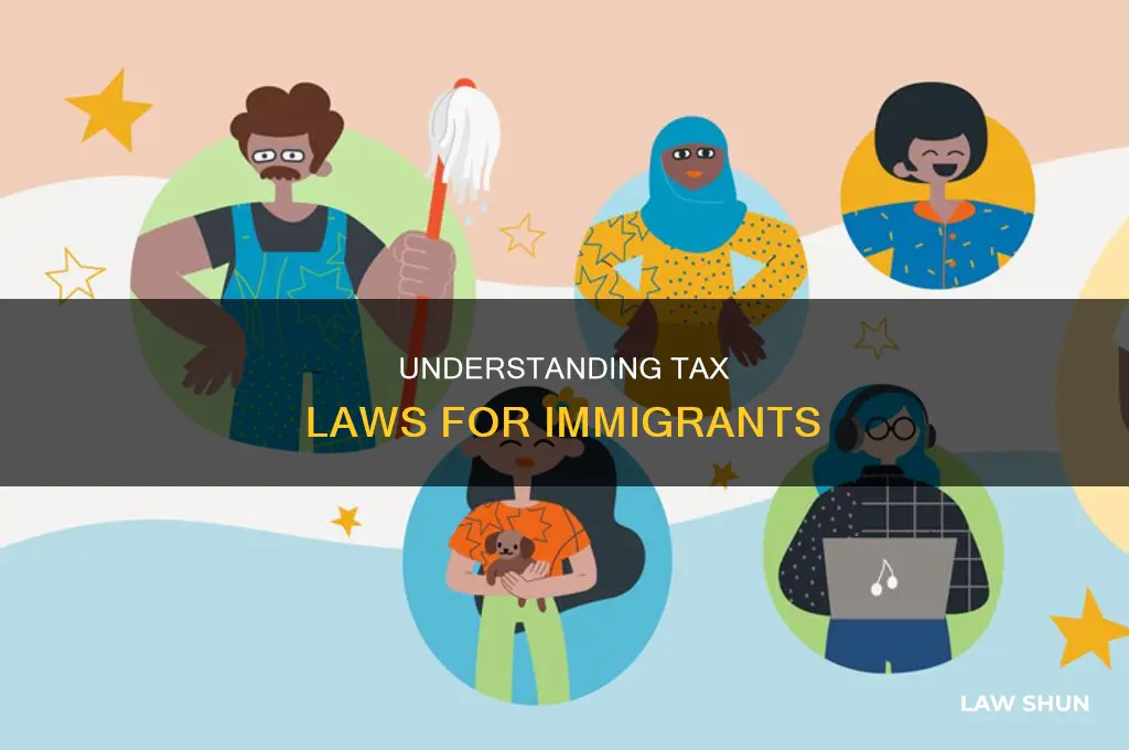 what is the law on immigrits pay taxes
