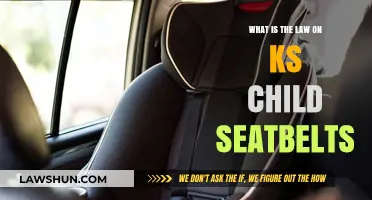 Understanding UK Child Seatbelt Laws: Keeping Kids Safe in Vehicles