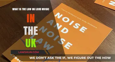 UK Noise Laws: Music Volume Limits Explained