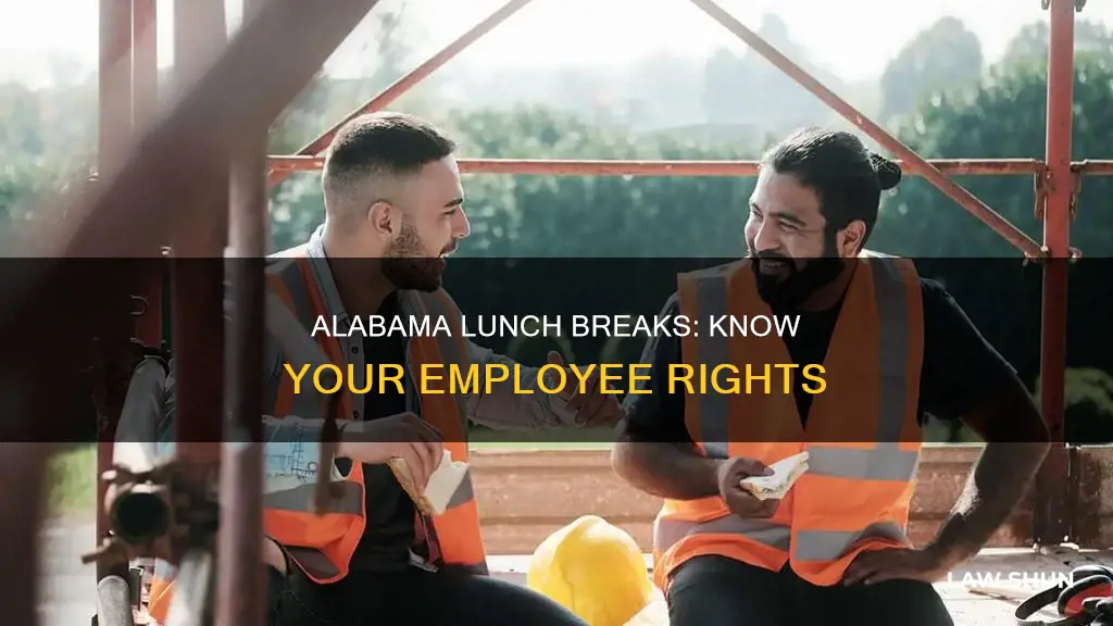 what is the law on lunch breaks in alabama