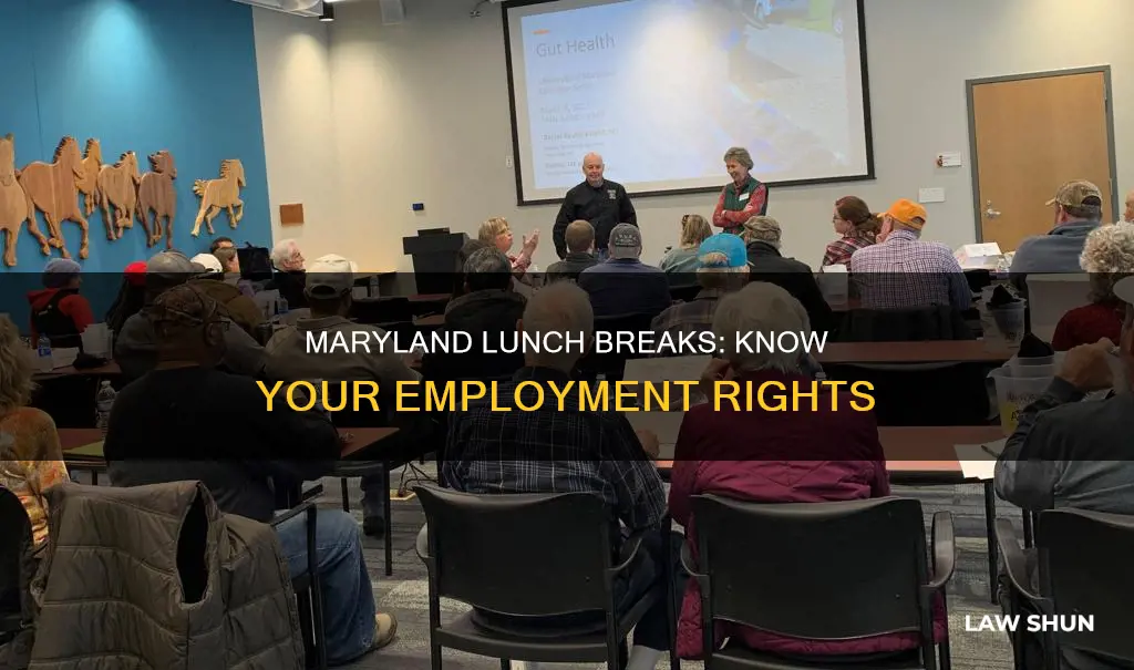 what is the law on lunch breaks in maryland