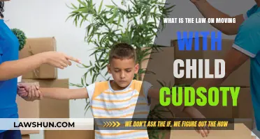Relocating with Child Custody: Legal Guidelines and Parental Rights Explained