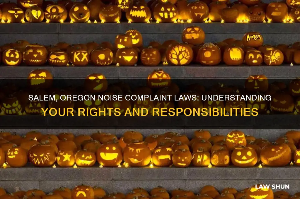 what is the law on noise complaints in salem oregon