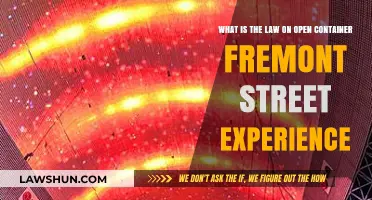 Open Container Laws on Fremont Street: What You Need to Know
