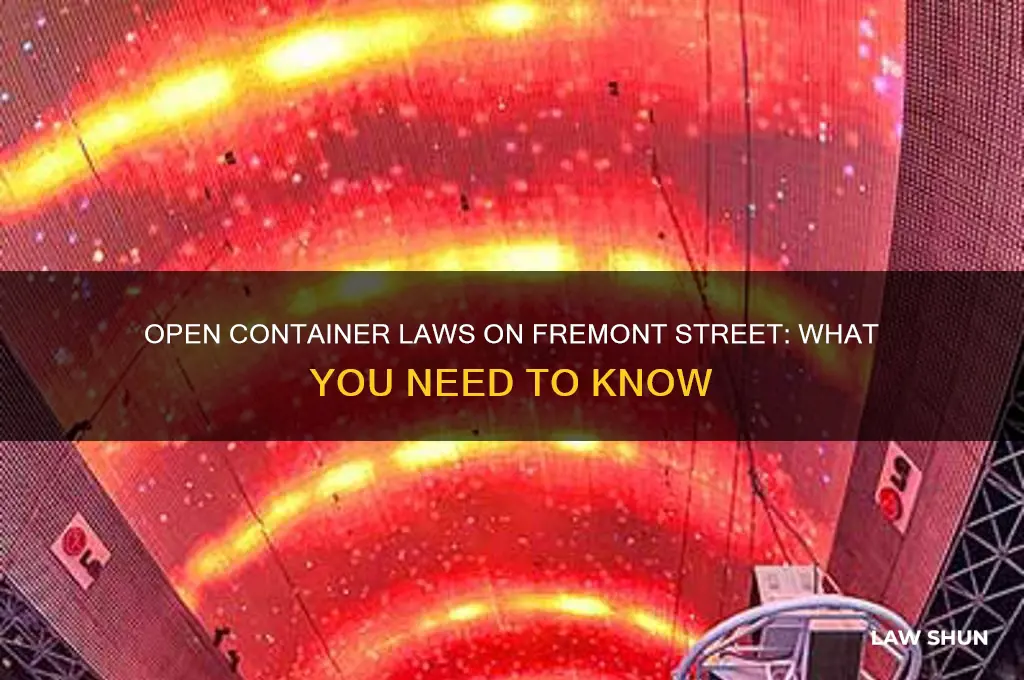 what is the law on open container fremont street experience
