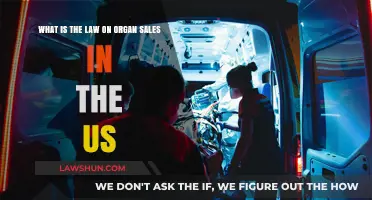 Organ Sales in the US: Legal Boundaries and Ethical Dilemmas