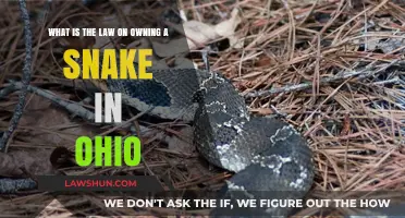 Ohio Snake Ownership Laws: What You Need to Know