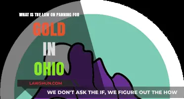 Ohio Gold Panning Laws: What You Need to Know Before Prospecting