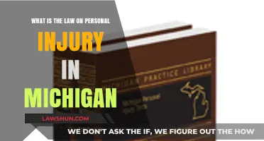 Understanding Michigan's Personal Injury Laws: Rights, Compensation, and Legal Process