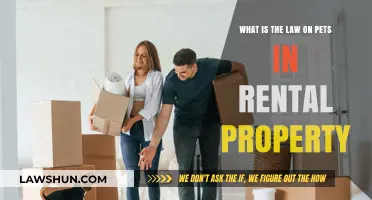 Understanding Pet Policies in Rental Properties: Legal Rights and Responsibilities