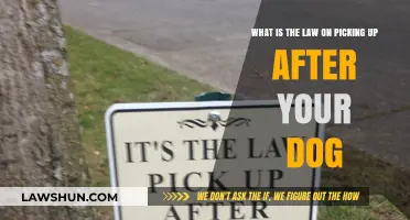 Dog Poop Laws: Understanding Your Legal Duty to Clean Up
