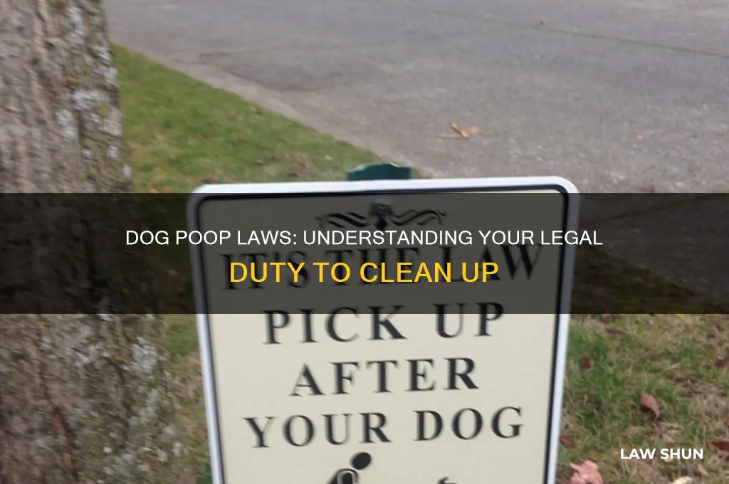 what is the law on picking up after your dog