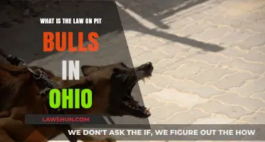 Ohio Pit Bull Laws: Understanding Breed-Specific Regulations and Ownership Rules