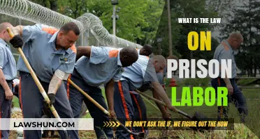 Understanding Prison Labor Laws: Rights, Exploitation, and Legal Boundaries