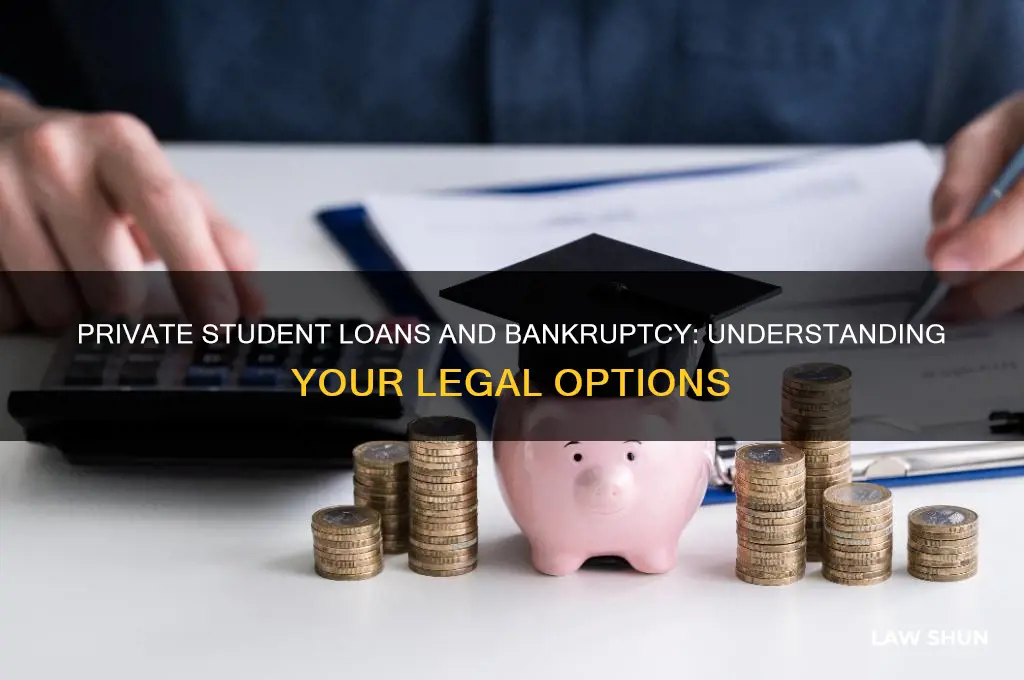 what is the law on private student loans for bankruptcies