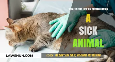 Euthanizing Sick Animals: Understanding Legal and Ethical Considerations