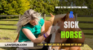 Understanding the Legal and Ethical Aspects of Euthanizing Sick Horses