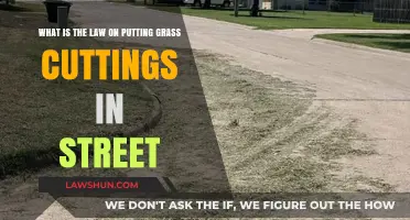 Grass Clippings on Streets: Legal Guidelines and Local Regulations Explained