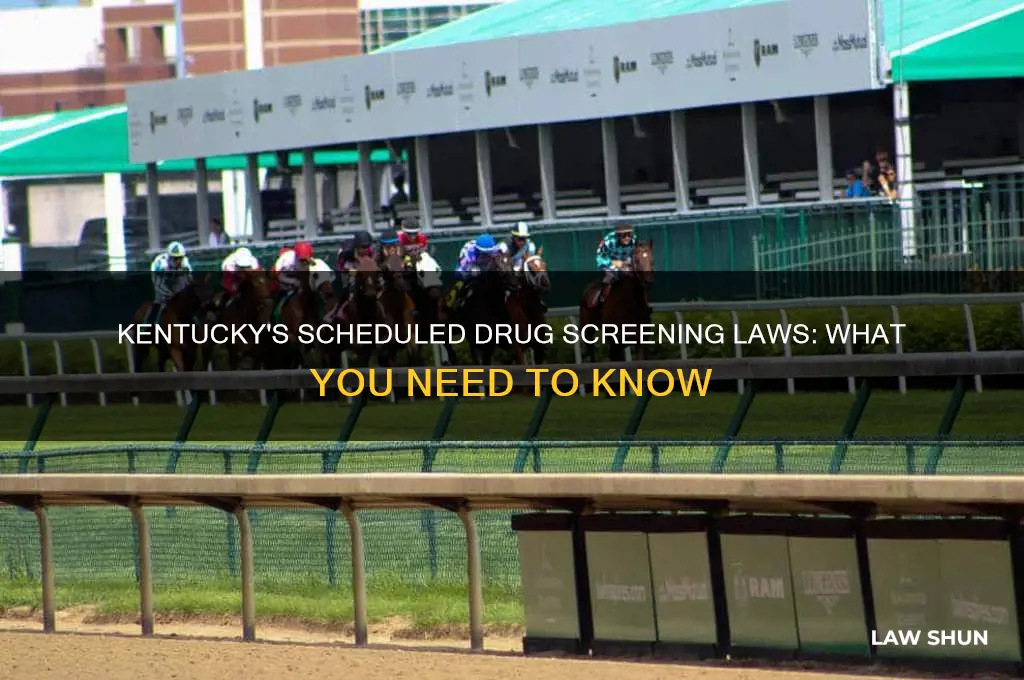 what is the law on scheduled drug screening in kentucky