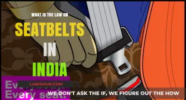 Seatbelt Laws in India: Understanding the Rules