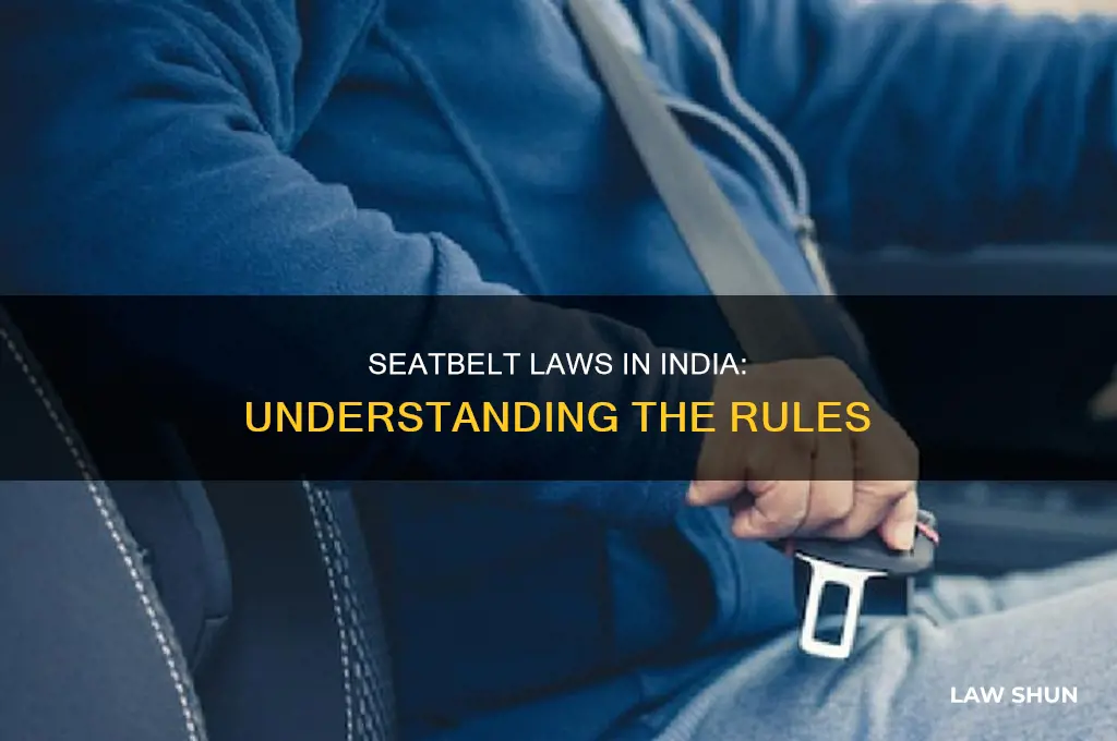 what is the law on seatbelts in india