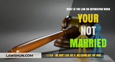 Unmarried Separation Laws: Understanding Your Rights and Legal Options