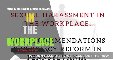 Understanding Workplace Sexual Harassment Laws: Rights, Protections, and Legal Recourse