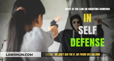 Self-Defense Shooting Laws: Understanding Your Rights and Legal Boundaries