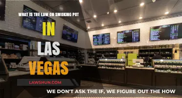 Las Vegas Cannabis Laws: What You Need to Know About Smoking Pot