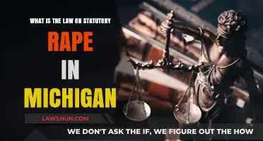 Understanding Michigan's Statutory Rape Laws: Penalties and Legal Implications