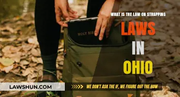 Ohio's Strapping Laws: Understanding Regulations and Compliance Requirements