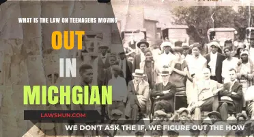 Michigan Teenagers Moving Out: Legal Rights and Emancipation Explained