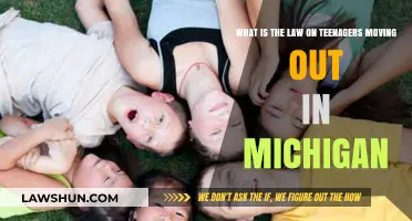 Michigan's Legal Guidelines for Teenagers Moving Out: What You Need to Know
