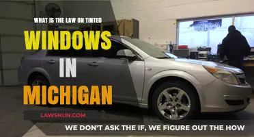 Michigan Tinted Window Laws: What You Need to Know
